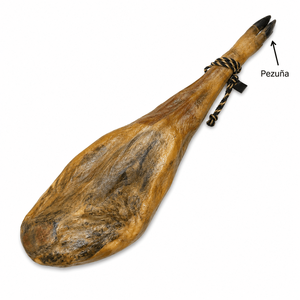 1. ham hoof